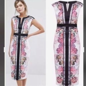 Ted Baker Shawnie Painted Posie Fitted Dress
